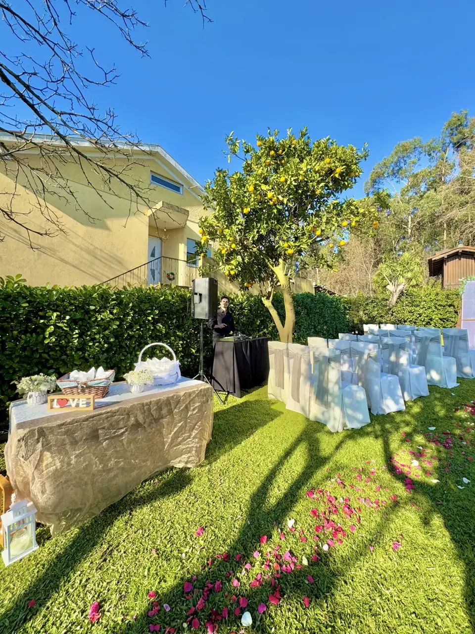 O jardim ao sol, pronto para a festa